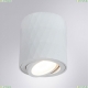 A5559PL-1WH Накладной светильник Arte Lamp, Fang