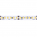 A2418008-01-3K 5м. Светодиодная лента теплого цвета 3000К, 14,4W, 24V, IP20 Arte lamp, Tape