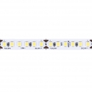 A2418008-03-6K 5м. Светодиодная лента холодного цвета 6000К, 14,4W, 24V, IP20 Arte lamp, Tape