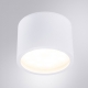 A5543PL-1WH Накладной светильник Arte lamp, Intercrus