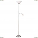 A9569PN-2SI Торшер Arte Lamp, Duetto