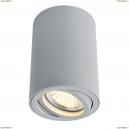 A1560PL-1GY Потолочный светильник Arte Lamp, Sentry