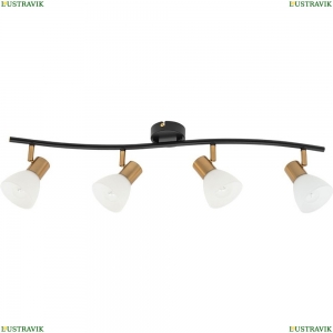 A3117PL-4BK Спот Arte lamp, Falena