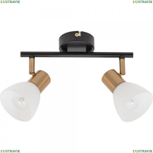 A3117PL-2BK Спот Arte lamp, Falena