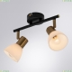 A3117PL-2BK Спот Arte lamp, Falena